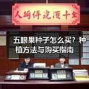 五眼果种子怎么买？种植方法与购买指南（图1）