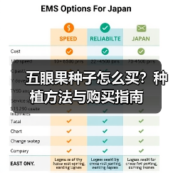 五眼果种子怎么买？种植方法与购买指南（图3）