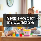 五眼果种子怎么买？种植方法与购买指南（图4）