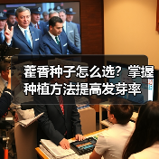 藿香种子怎么选？掌握种植方法提高发芽率（图4）