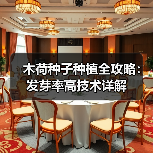 木荷种子种植全攻略：发芽率高技术详解（图2）