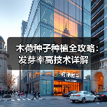 木荷种子种植全攻略:发芽率高技术详解(图3) 木荷种子种植全攻略:发芽率高技术详解(图3)