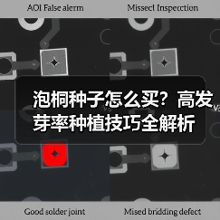 泡桐种子怎么买？高发芽率种植技巧全解析（图2）
