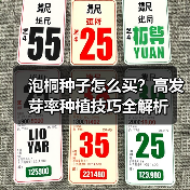 泡桐种子怎么买？高发芽率种植技巧全解析（图3）