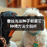 垂丝海棠种子哪里买？种植方法全解析（图2）