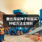 垂丝海棠种子哪里买?种植方法全解析(图3) 垂丝海棠种子哪里买?种植方法全解析(图3)