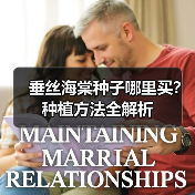 垂丝海棠种子哪里买?种植方法全解析(图4) 垂丝海棠种子哪里买?种植方法全解析(图4)