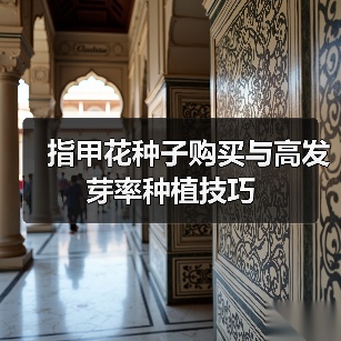指甲花种子购买与高发芽率种植技巧（图1）