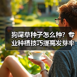 狗尾草种子怎么种?专业种植技巧提高发芽率(图4) 狗尾草种子怎么种?专业种植技巧提高发芽率(图4)