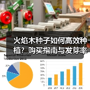 火焰木种子如何高效种植？购买指南与发芽率提升技巧（图1）