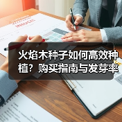 火焰木种子如何高效种植？购买指南与发芽率提升技巧（图3）