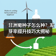 非洲菊种子怎么种？发芽率提升技巧大揭秘（图1）