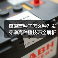 琉璃苣种子怎么种？发芽率高种植技巧全解析（图1）
