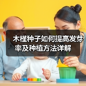 木槿种子如何提高发芽率及种植方法详解(图3) 木槿种子如何提高发芽率及种植方法详解(图3)