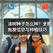 漆树种子怎么种？全国批发信息与种植技巧（图3）