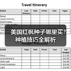 美国红枫种子哪里买?种植技巧全解析(图2) 美国红枫种子哪里买?种植技巧全解析(图2)