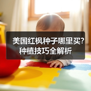 美国红枫种子哪里买？种植技巧全解析（图1）