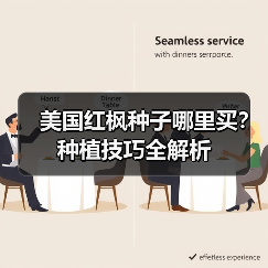 美国红枫种子哪里买?种植技巧全解析(图4) 美国红枫种子哪里买?种植技巧全解析(图4)