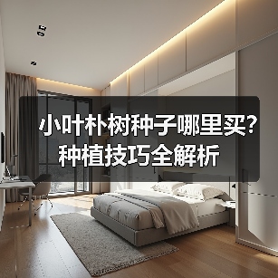 小叶朴树种子哪里买？种植技巧全解析（图2）