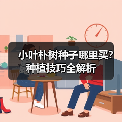小叶朴树种子哪里买？种植技巧全解析（图3）
