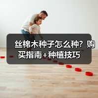 丝棉木种子怎么种?购买指南+种植技巧(图2) 丝棉木种子怎么种?购买指南+种植技巧(图2)