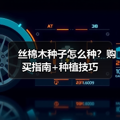 丝棉木种子怎么种?购买指南+种植技巧(图3) 丝棉木种子怎么种?购买指南+种植技巧(图3)