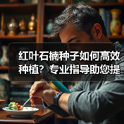 红叶石楠种子如何高效种植?专业指导助您提升发芽率(图3) 红叶石楠种子如何高效种植?专业指导助您提升发芽率(图3)