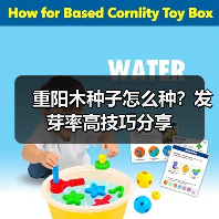 重阳木种子怎么种？发芽率高技巧分享（图1）