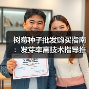 树莓种子批发购买指南：发芽率高技术指导推荐（图2）