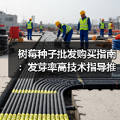 树莓种子批发购买指南：发芽率高技术指导推荐（图3）