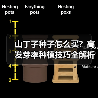 山丁子种子怎么买?高发芽率种植技巧全解析(图2) 山丁子种子怎么买?高发芽率种植技巧全解析(图2)
