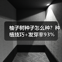 柚子树种子怎么种？种植技巧+发芽率93%（图4）