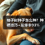 柚子树种子怎么种？种植技巧+发芽率93%（图3）