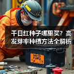 千日红种子哪里买?高发芽率种植方法全解析(图3) 千日红种子哪里买?高发芽率种植方法全解析(图3)