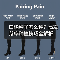 白榆种子怎么种？高发芽率种植技巧全解析（图2）