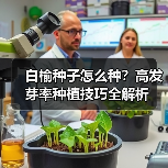 白榆种子怎么种？高发芽率种植技巧全解析（图3）