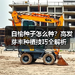 白榆种子怎么种？高发芽率种植技巧全解析（图4）