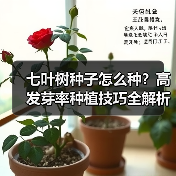 七叶树种子怎么种？高发芽率种植技巧全解析（图3）