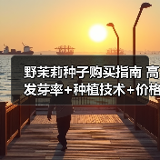 野茉莉种子购买指南 高发芽率+种植技术+价格优惠（图2）