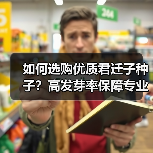 如何选购优质君迁子种子？高发芽率保障专业种植指导（图1）