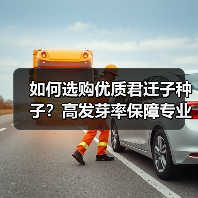 如何选购优质君迁子种子？高发芽率保障专业种植指导（图4）