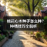 桃花心木种子怎么种？种植技巧全解析（图1）