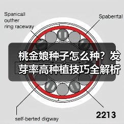 桃金娘种子怎么种？发芽率高种植技巧全解析（图1）