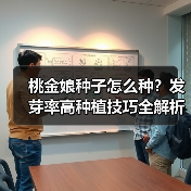 桃金娘种子怎么种？发芽率高种植技巧全解析（图2）