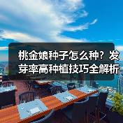 桃金娘种子怎么种？发芽率高种植技巧全解析（图4）