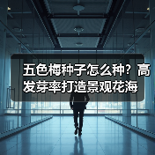 五色梅种子怎么种?高发芽率打造景观花海(图3) 五色梅种子怎么种?高发芽率打造景观花海(图3)