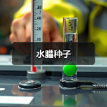 水腊种子（图4）