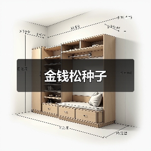 金钱松种子(图1) 金钱松种子(图1)