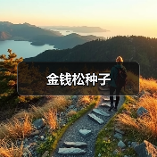 金钱松种子（图4）