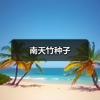 南天竹种子(图3) 南天竹种子(图3)
